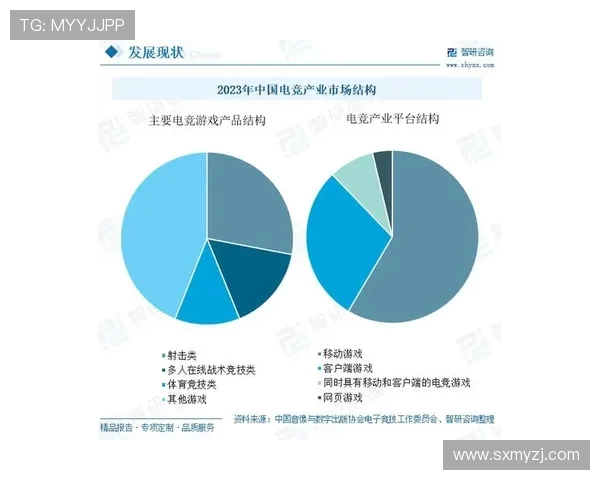 电子竞技风向标：全方面解读电竞产业现状及未来发展路径