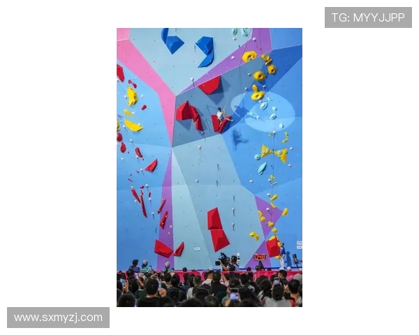 南京攀岩队在世界攀岩锦标赛中的精彩表现与状态分析