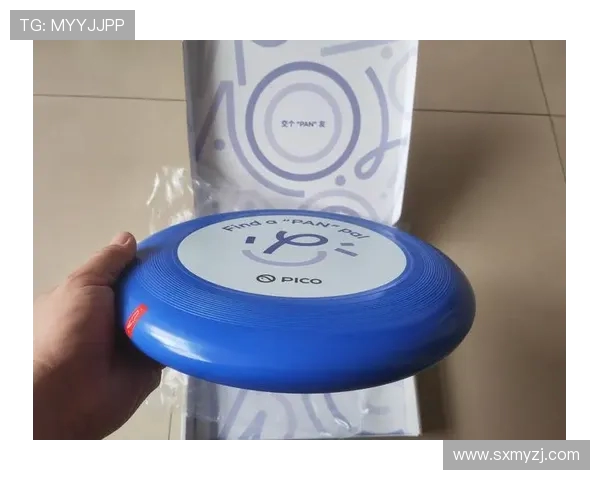 武汉飞盘队在极限运动世界杯积分榜中以87分稳居第一名引领全场 武汉飞盘队在极限运动世界杯积分榜中以87分稳居第一名引领全场