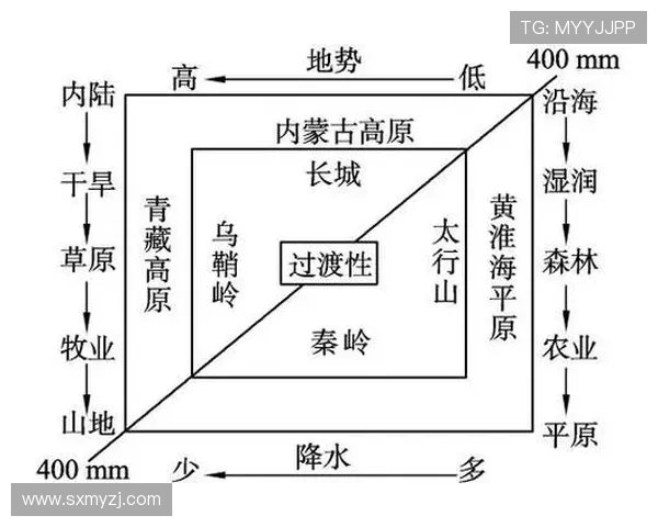 重庆排球队灵活性分析与战术创新的深度探讨