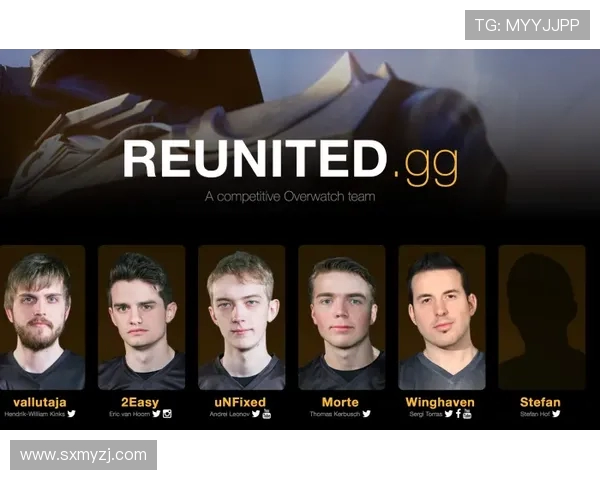 全球电竞豪门Fnatic战队发展历程与辉煌成就全面解读 全球电竞豪门Fnatic战队发展历程与辉煌成就全面解读