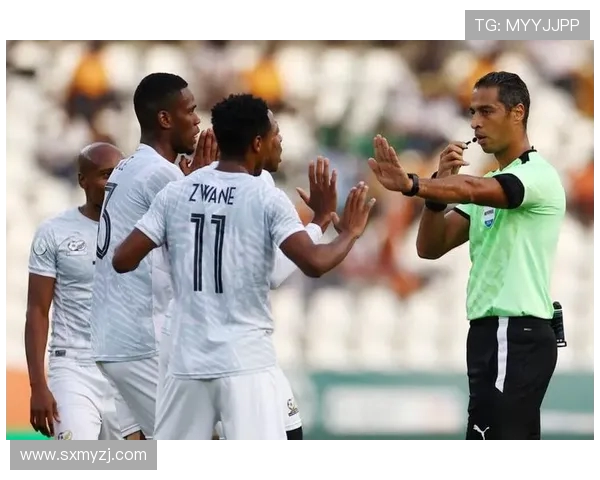 南非世法国对决南非球队精彩回顾与赛后分析